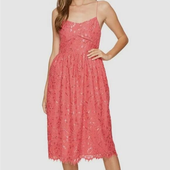 CeCe Aurora Lace Midi Dress - Picture 1 of 13